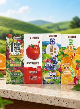一甸园蔬菜汁200ml*6盒番茄汁蓝莓汁橙子味复合果蔬饮料宝宝果饮