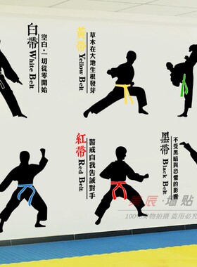 跆拳道武馆培训班学校文字墙贴画