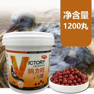 汉诺威鸽药【鸽力旺】大桶1200粒/活力营养丸/育宝/汉诺威鸽力旺