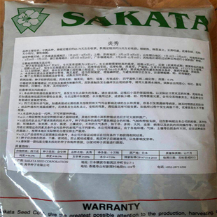 日本原装进口高华西兰花种籽炎秀耐寒优秀种子青花菜坂田正品秋季