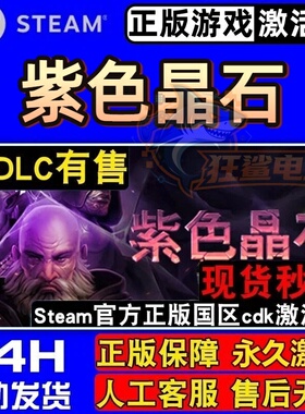 紫色晶石 正版Steam激活码CDKey入库Stoneshard全DLC角色扮演游戏