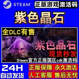 紫色晶石 正版Steam激活码CDKey入库Stoneshard全DLC角色扮演游戏