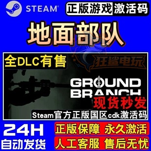 地面部队 正版Steam激活码CDKey入库 GROUND BRANCH全DLC动作游戏
