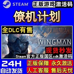 僚机计划 正版Steam激活码CDKey入库 Project Wingman 全DLC游戏