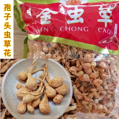 精品大孢子北虫草花特级食用菌