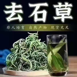 化石草野生天然中药材煲水泡茶去肾石草清凉利水肾精草肾经草250g