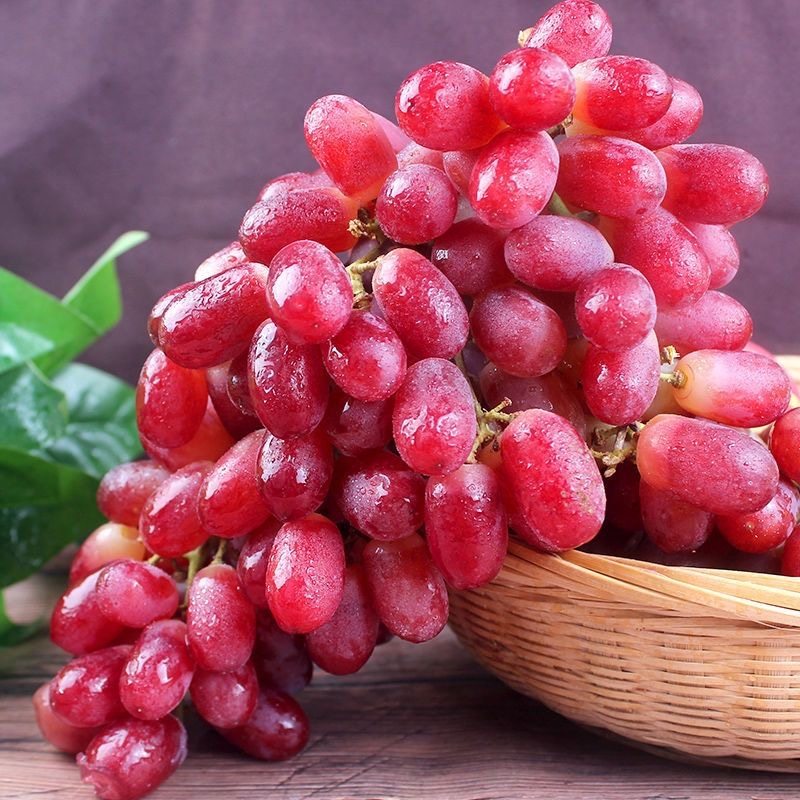 葡萄新鲜水果当季现摘现发郁金香葡萄非提子当季克轮生顺丰包邮5