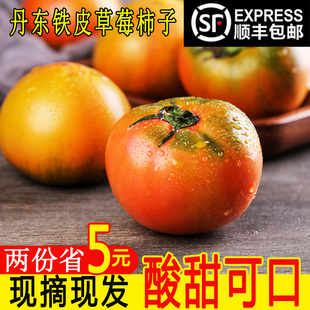 丹东草莓西红柿碱地铁皮油柿子绿腚鹰爪脆柿子新鲜水果番茄5 斤邮