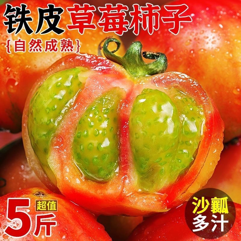 丹东草莓西红柿碱地铁皮油柿子绿腚鹰爪脆柿子新鲜水果番茄5 斤邮