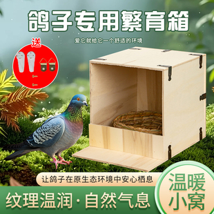 木质鸽子窝繁殖孵化室外可挂防风防雨防打扰加厚鸟巢箱配对放飞笼