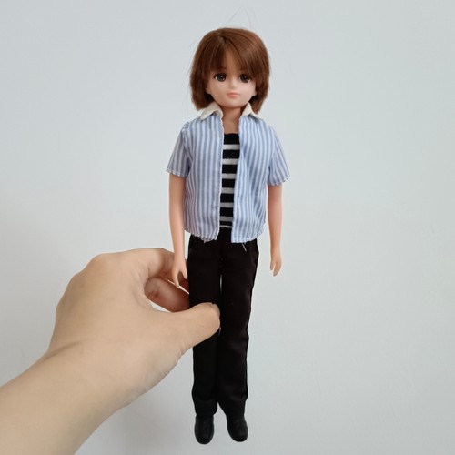 丽佳男娃 licca莉卡弟弟男孩人偶娃娃