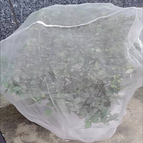 果树果园防虫防鸟樱桃嘉宝果杨梅护果防护网罩口袋型网子纱网罩子