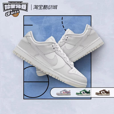 Nike/耐克女子低帮板鞋Dunk