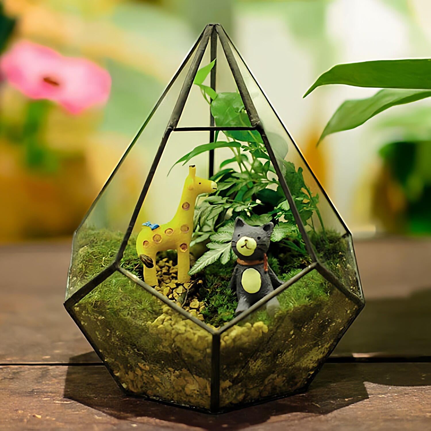 微景观多肉植物藓苔玻璃花房养花器皿新型盆景diy摆件装饰品展厅