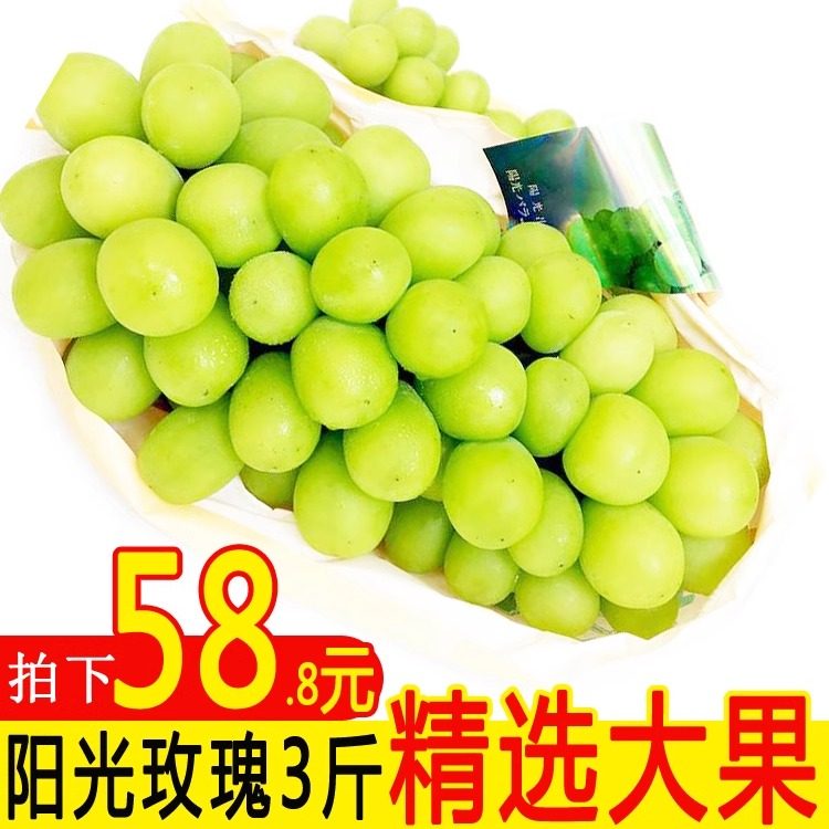 现摘产地直发阳光玫瑰晴王葡萄当季新鲜整水果青提孕妇一整箱批发