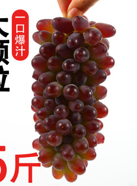 无籽现摘顺丰包邮新鲜