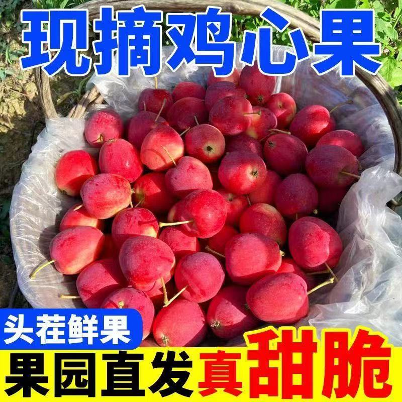 顺丰包邮现摘现发坏果包赔