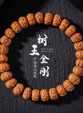 爆肉树王小金刚菩提手串佛珠文玩双龙纹金刚菩提男士盘玩手链