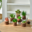 仿真多肉植物盆景桌面摆件木桩花盆装 饰家居绿植