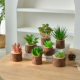仿真多肉植物盆景桌面摆件木桩花盆装 饰家居绿植