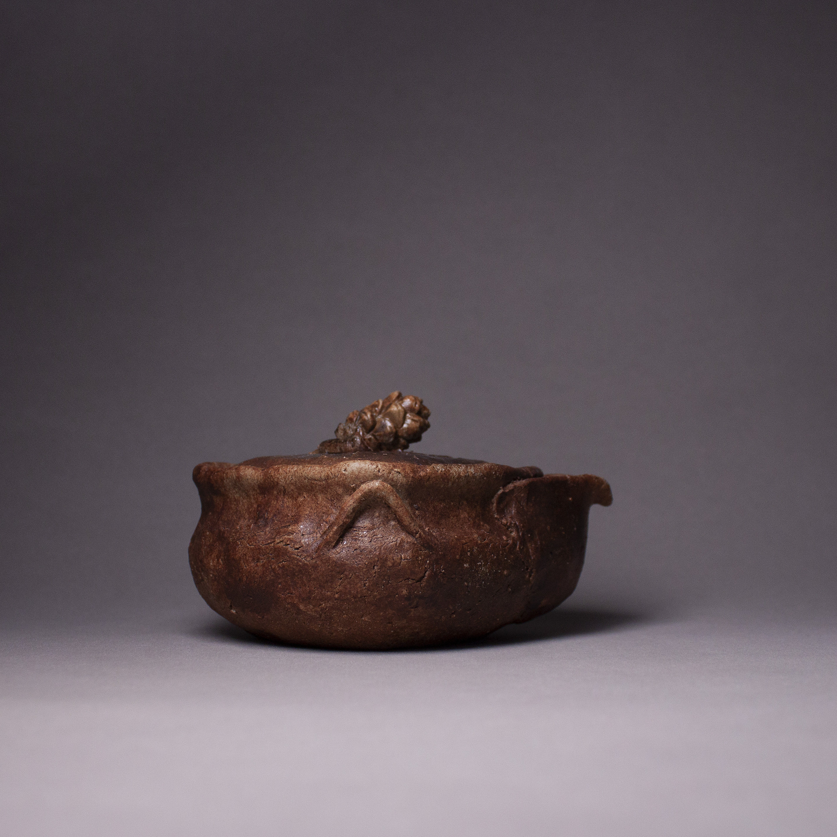 全手工柴烧泡茶壶松果摘宝瓶国产非备前烧入江光人司侘寂复古茶具