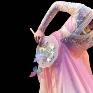 儿童古典舞演出服女童舞蹈服装国风和风蝶语 少儿独舞剧目表演