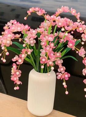 抖音同款果冻渐变蝴蝶兰材料包手工DIY串珠编织花束珠子不含花瓶