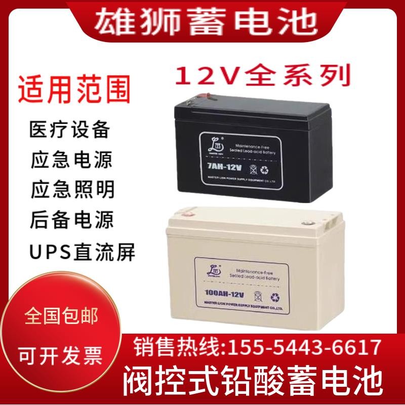 雄狮蓄电池12V7A9A24A38A65A100AH通讯/机房/消防*计算机消防主机