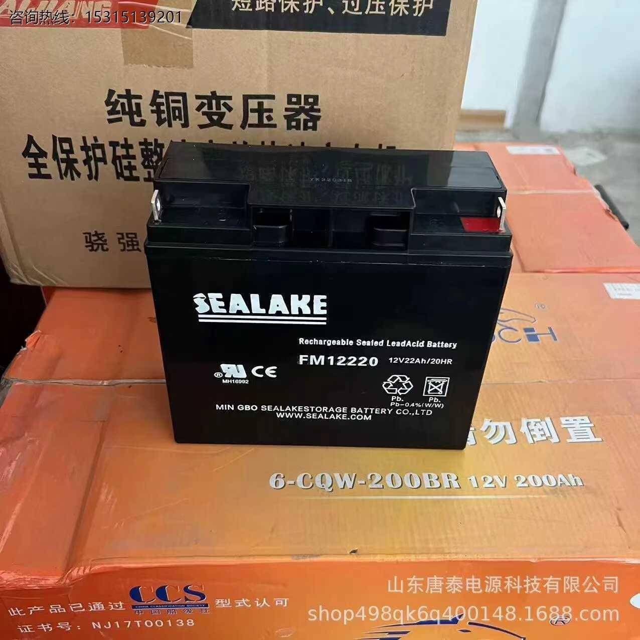 SEALAKE海湖FM12220蓄电池12V22Ah纽福克斯应急电源专用电瓶配件