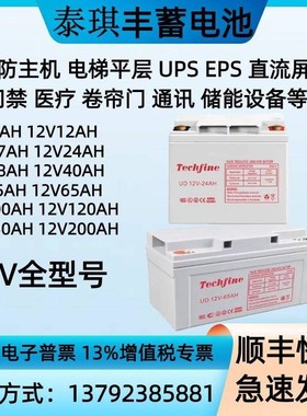 Techfine泰琪丰蓄电池UD12V7AH17AH24AH33AH38AH40A65A100AH120AH