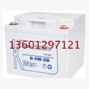 科士达蓄电池12V38AH 科士达6-FM-38 UPS电源蓄电池 质保三年