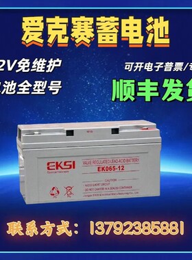 EKSI爱克赛蓄电池EK65-12V7A17A24A38A65A100A120AH机房UPS应急用