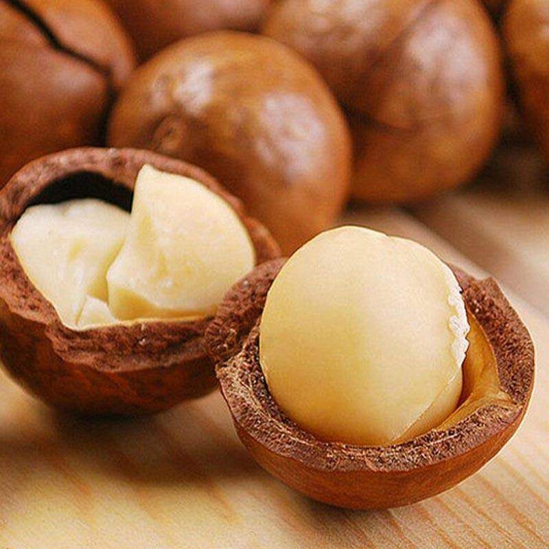 新鲜2025年新货夏威夷果澳洲奶香味坚果仁奶油味原味烘焙健康干果