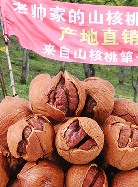 2025年新货临安山核桃特好剥新鲜野生原味杭州礼盒孕妇手剥小核桃