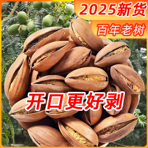 特级老树香榧子2025新货