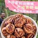 特大籽特好剥临安特产山核桃2025年新货手剥孕妇野生水煮小山核桃