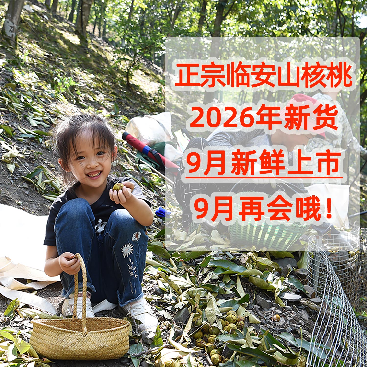 2026新货9月上市【请】【勿】【拍】【下】（如果拍下随意发货）