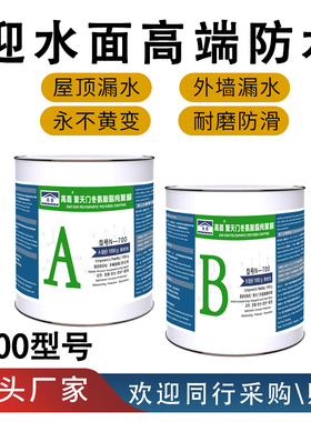 高盾天冬纯聚脲防水防腐隔热降温涂料屋面卫生间外墙水池补漏材料
