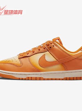 Nike/耐克正品秋季新款女子休闲轻便运动舒适低帮板鞋 DX2953-800