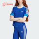 阿迪达斯正品 夏季 TEE Adidas KNITTED女子运动短袖 T恤IK7846