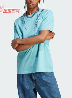 Adidas/阿迪达斯正品PRIDE GRAPH TEE 男子运动短袖T恤IU0054