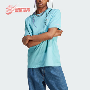 Adidas/阿迪达斯正品PRIDE GRAPH TEE 男子运动短袖T恤IU0054