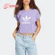 短袖 Adidas T恤IC5468 SHORT TEE女子时尚 阿迪达斯正品 三叶草