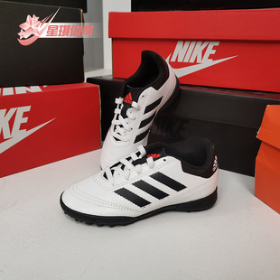 男大童足球运动鞋 Adidas AQ4305 阿迪达斯飞盘 Goletto