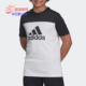 阿迪达斯正品 新款 男大童运动短袖 Adidas T恤DV2917 DV2920