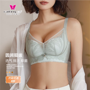 彩婷B杯无钢圈内衣女立体模杯圆润挺拔透气抑菌蕾丝文胸