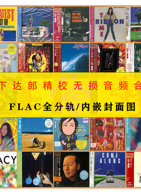 [音浪潮无损音源]山下达郎Tatsuro Yamashita精校25张分轨FLAC