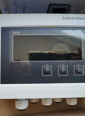 E+H过程测控仪 RIA46-B1C1A+A1(RIA46-议价
