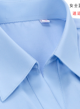 女士V领蓝色斜条纹职业衬衫长袖职业工装衬衣银行工作服大码寸衣
