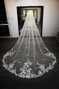 头纱主婚纱新娘长款拖地单层头饰超仙蕾丝花瓣婚礼网红拍摄道具